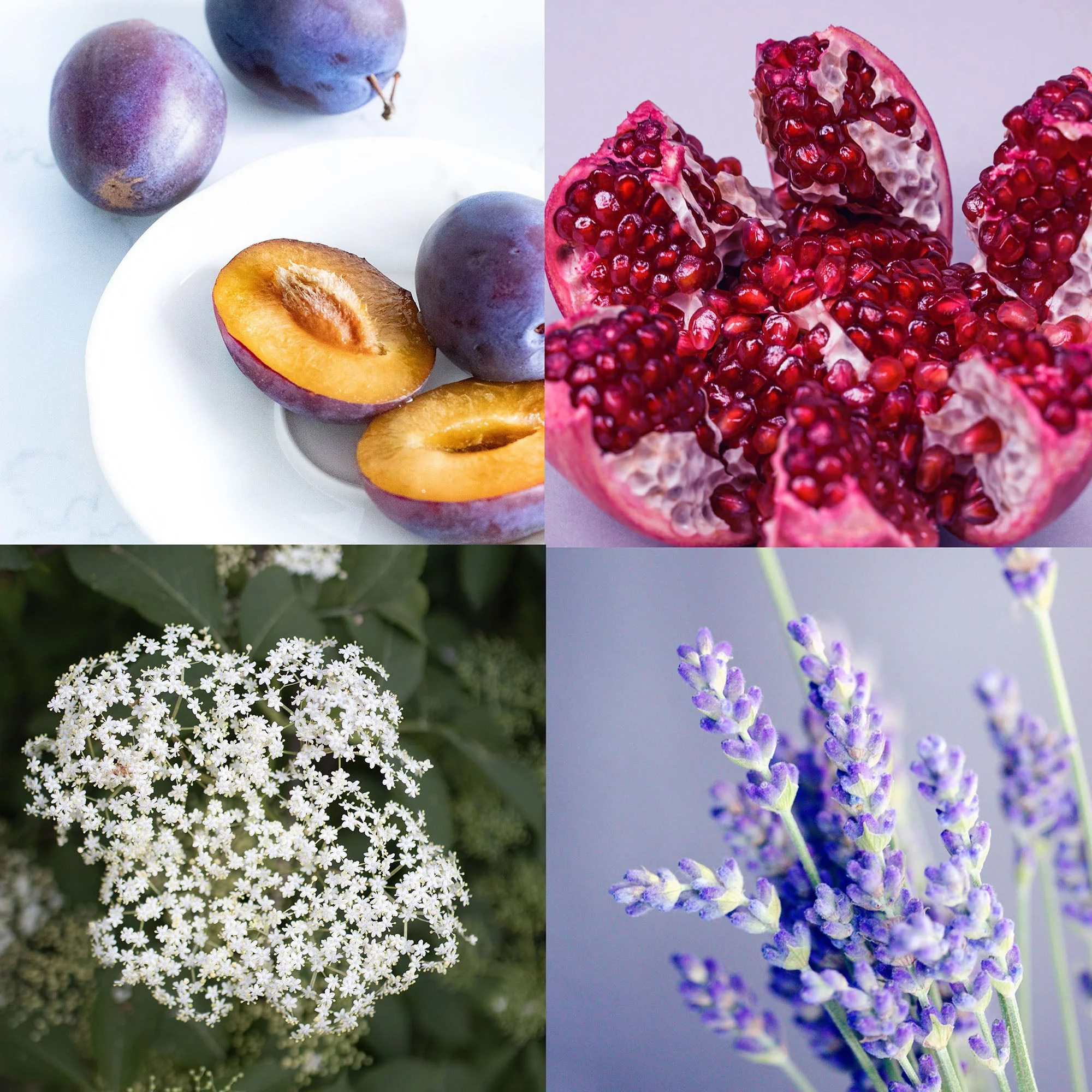 Blossom Heiress Candle - Image 3