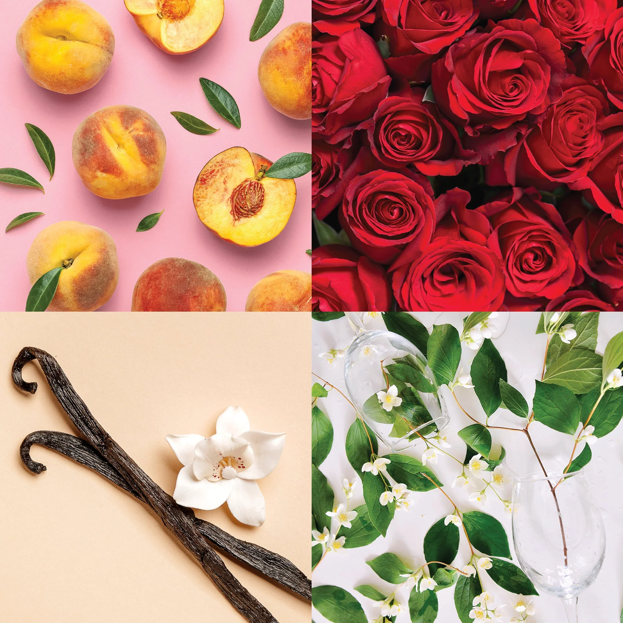 Choose Juicy Diffuser - Image 3