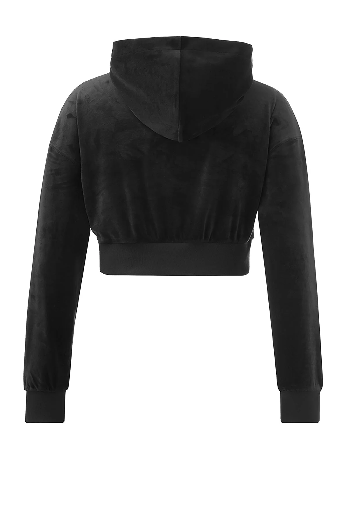 Cropped Scottie Hoodie - Image 7