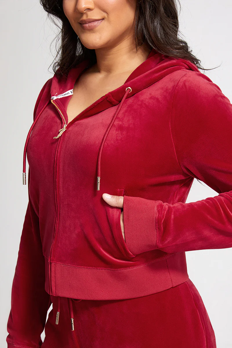 Plus-Size OG Big Bling Velour Hoodie - Image 4