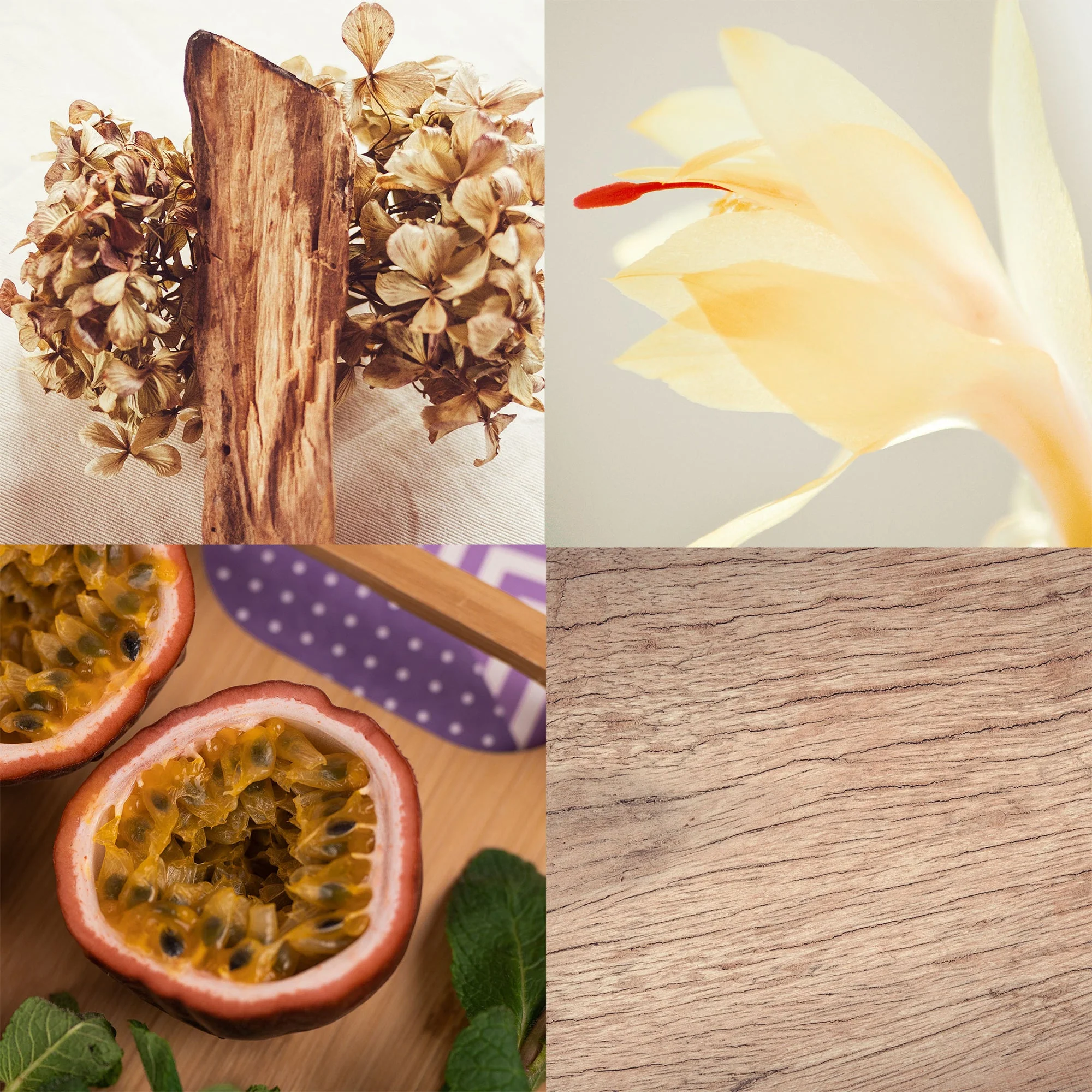 Sunset Palm Candle - Image 3